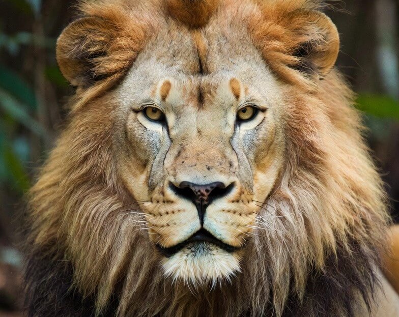 isenção do Imposto de Renda 2026 para rendimentos de até R$ 5.000 mensais